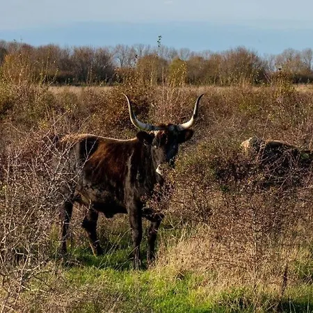 Heuvel Zicht * Oss